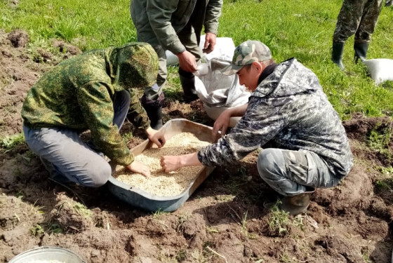 Сотрудники заповедника и волонтеры сеяли донник