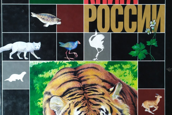 Красная книга России обновляется спустя 23 года