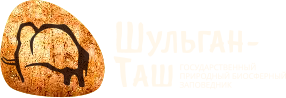 Главная